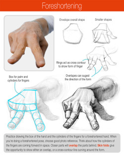 stanprokopenko: Part 2 of the hands eBook is out now in the premium course! It has 38 pages of hand anatomy!
