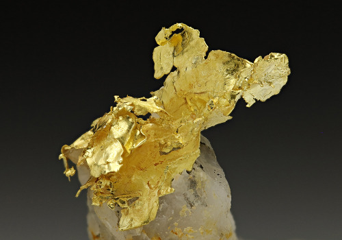 Native gold on quartz.