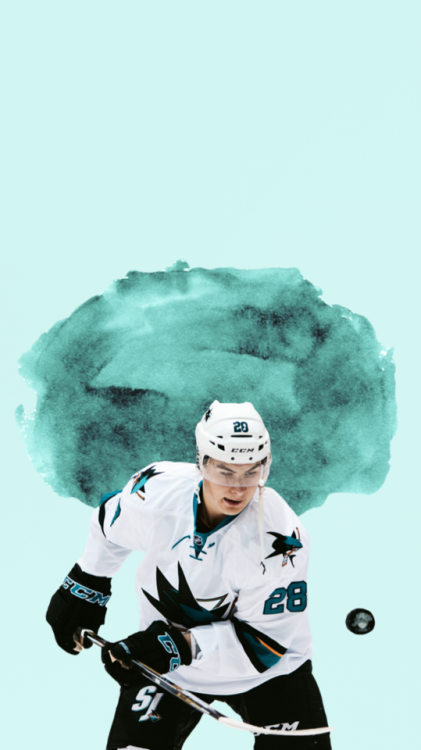 Timo Meier /requested by anonymous/