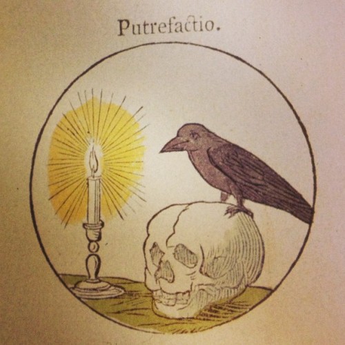 putrefactio