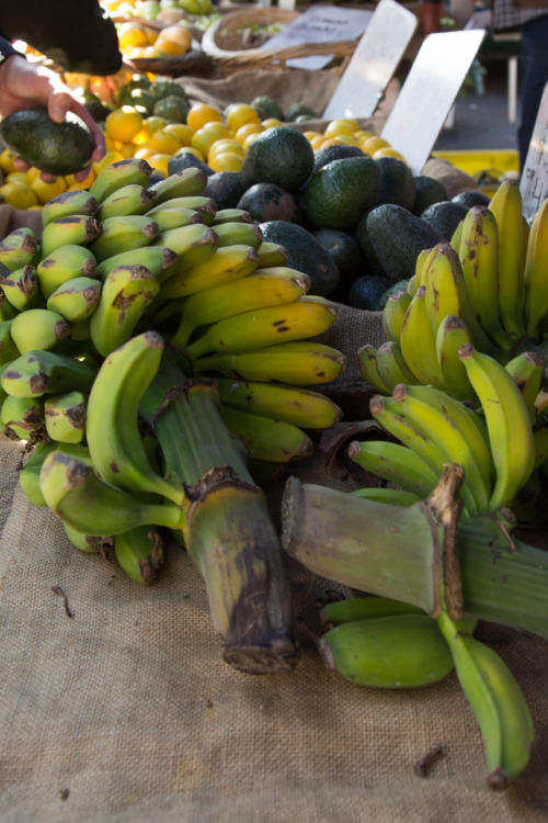 Santa Monica Farmers MarketLocation: Santa Monica, CANothing compares to the California farmer’s mar