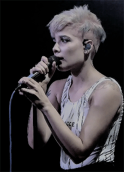 the unicorn pixie