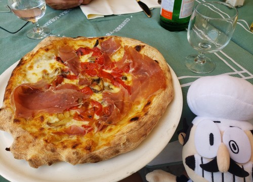 Plush Pep's Travel In Europe (more Photos Below The Cut)