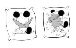 c2oh:  Maux body pillow but he’s so short and stubby its just a normal pillow…Unless ur Maux-sized !1!1!