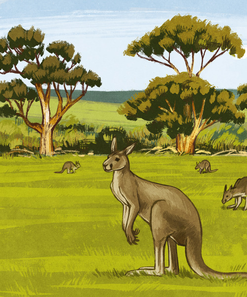 Sights of Australia (2 of 3)Illustrations I did for Boomerang: Australia, a card game from publisher