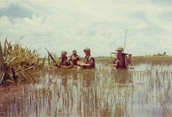 vietnamwarera:  31st Infantry Regiment soldiers