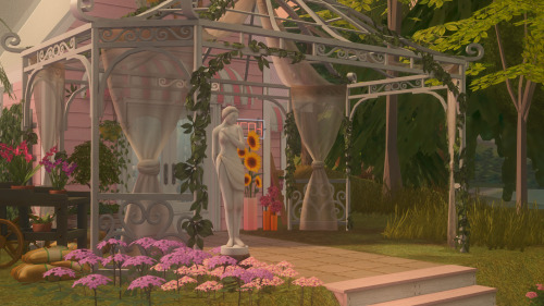 Blush In Blooming Plant Shop.