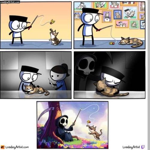 memeszem