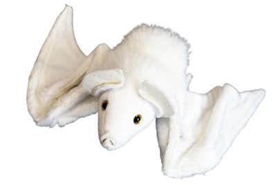 goobersplat:ALTALTALTALTALTALTMore Bat Plush! Albino Flying fox Plush, Black Bat, Choko Bat, Vlad the Vampire Stuffed Bat, Canyon Bat Plush, Cute Albino Bat Plush. 