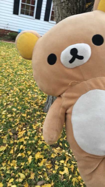 daddy-and-his-little-brat: enjoying the fall weather~あき  きしょう~