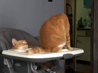 catasters: