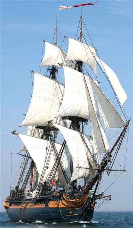 jade-cooper:  HMS Surprise (former HMS Rose), replica, built in 1970, sold to 20th Century Fox in 2001. 