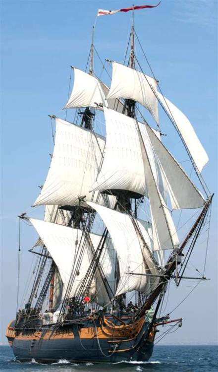 Porn photo jade-cooper:  HMS Surprise (former HMS Rose),