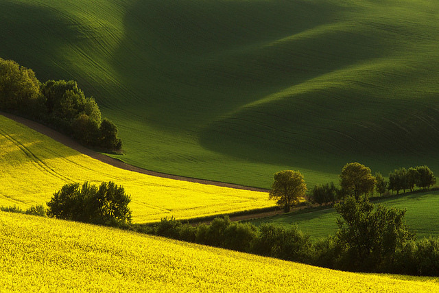sapphire1707:  South Moravia by jAdo85 on Flickr.