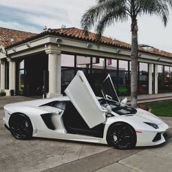 themanliness:  Wings Up!⚪ Via @envyavenue! Where would you drive in this? Tag a friend to drive with!👇 —— Photo by @spencerberke