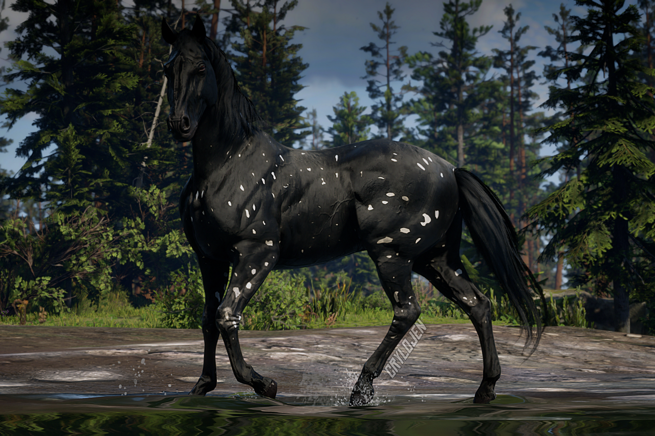Horses Belonging To Online Story Characters