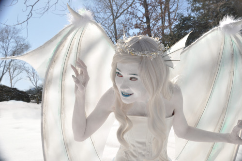 coneyinacap: Lusii pics: Dragon Mom | Photographer Pre-Katsu snow shoot!