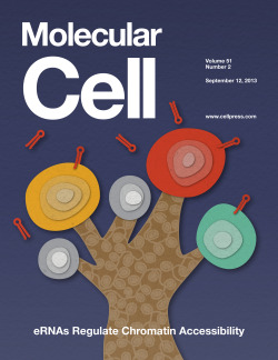 Cover illustration for Molecular Cell. Article describes how coregulated genes occupy specific domains and regulate expression.
Illustration: Ethan Tyler