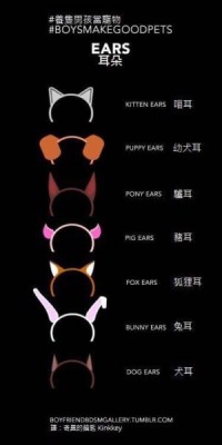 boobsbraidsandbruises: ƪ(˘⌣˘)ʃ Compiled KINKY INFOGRAPHICS!  Hope these will be useful for the curious. 😘 