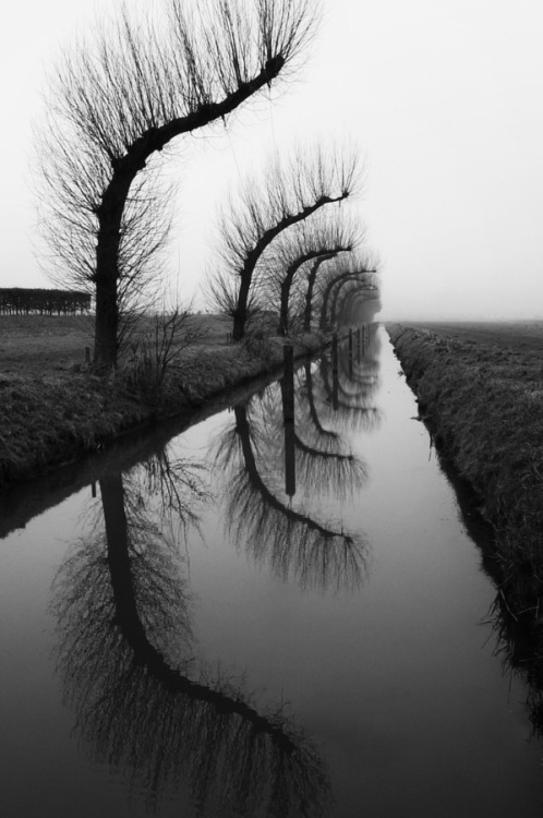 artblackwhite:Bending by SpreeuwTreesblack,canal,reflection,trees,water,white,winter