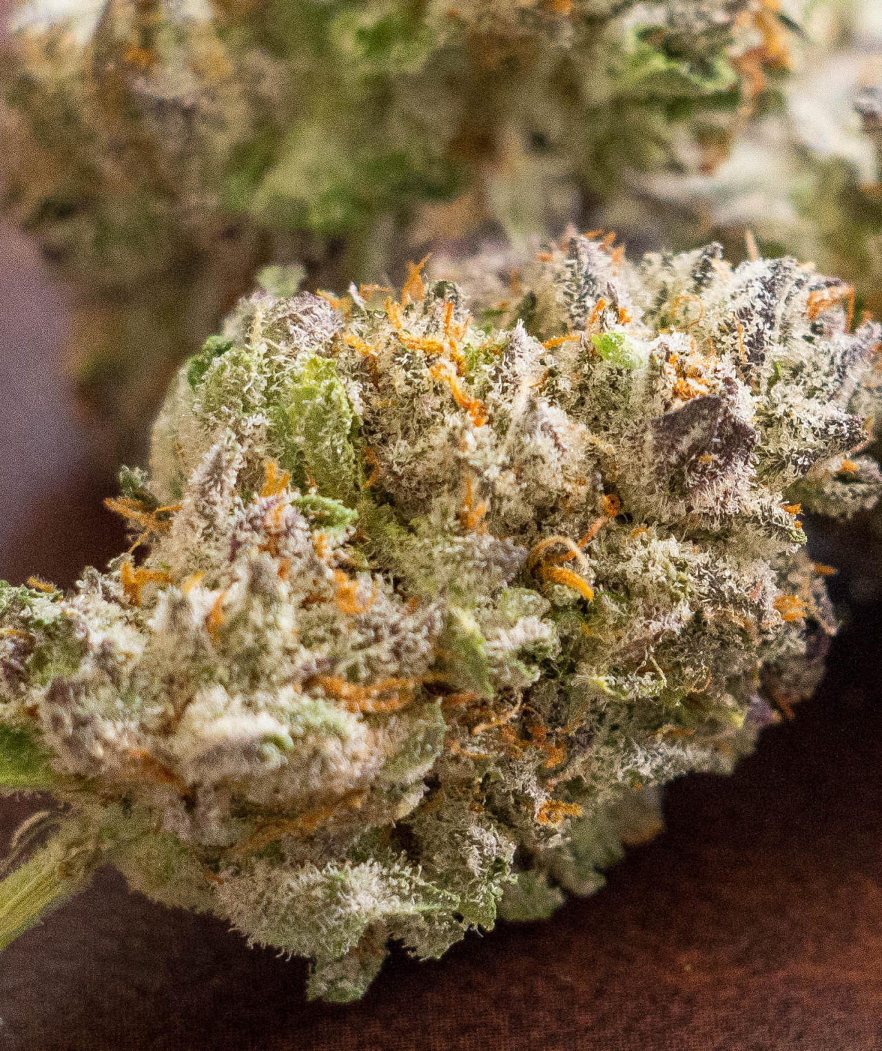 s-h-ea:  unknown strain