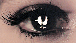  TMI Appreciation Week | Day 2: favorite book out of the series » City of Heavenly