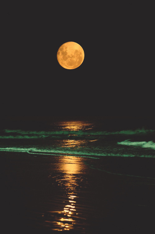 streamy-dream:  Untitled | via Tumblr on We Heart It - http://weheartit.com/entry/163059814