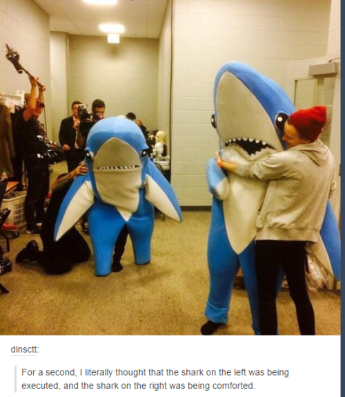 itsstuckyinmyhead:The Half Time Show Sharks and Tumblr