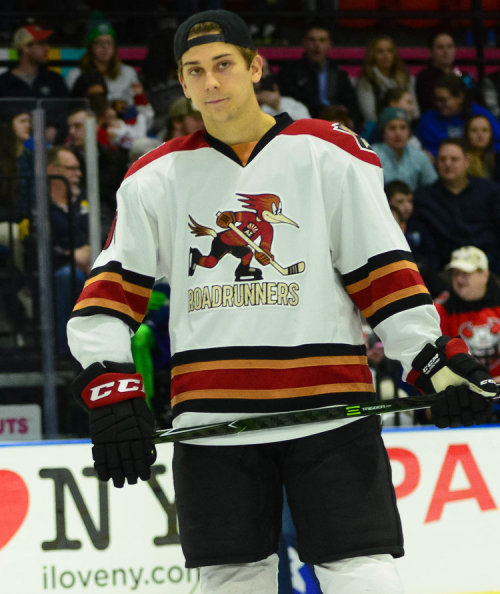 Alex DeBrincat, NHL Hockey Wikia
