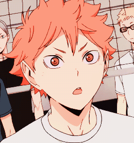 gihtoki:Tiny baby crow (▰˘◡˘▰)