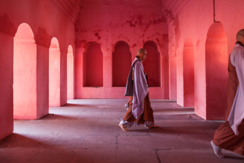 plizm:  Buddhist Monks, Bodhgaya, 2011Marji Lang