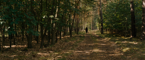 freakin-deakin:Phoenix (2014)Dir. Christian PetzoldCinematography: Hans Fromm