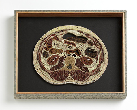 dieselotherapy:   Tissue Series  Anatomical Cross-Sections in PaperThese pieces are made of Japanese mulberry paper and the gilded edges of old books. They are constructed by a technique of rolling and shaping narrow strips of paper called quilling or