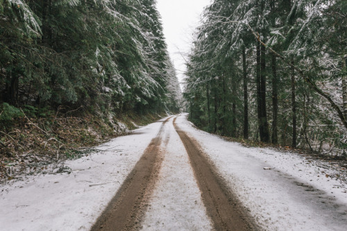 nevver:  You have come to the end of the world, keep walking - Griffin Lamb 