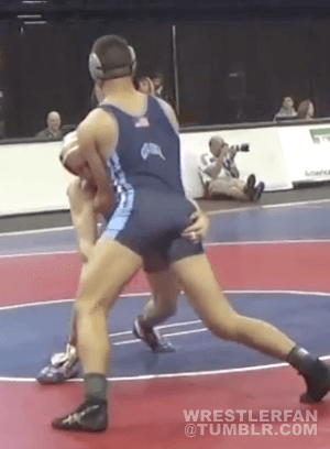 Why We Wrestle