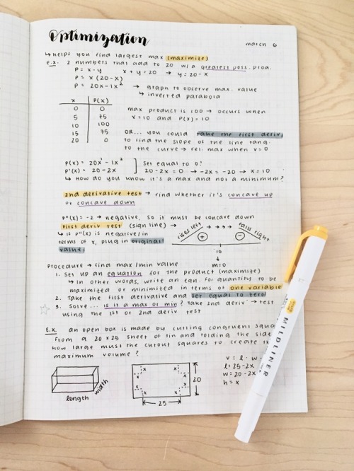 studyplants: MARCH 11 My math notes were inspired by the flowers on my desk! 