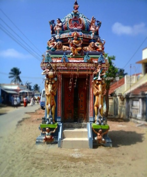 Small Goddess temple, south India
