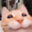 boxycat0