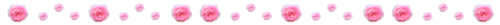Pink Rose Dividers
