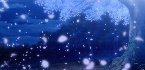 Crazy for Animes
