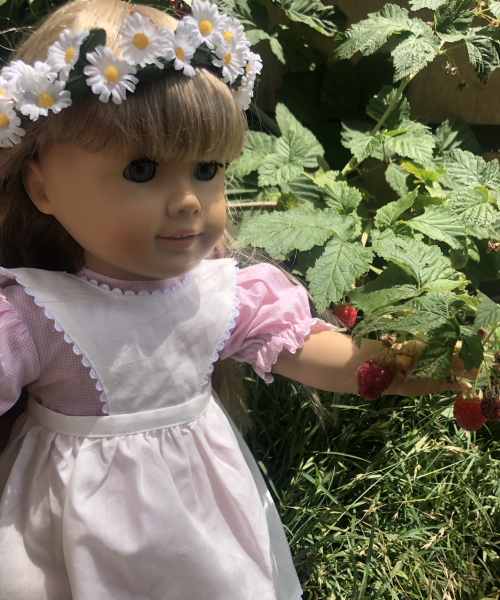 kirsteninthesun:Berry picking with Kirsten! We needed some berries to make the garnish for her cake,