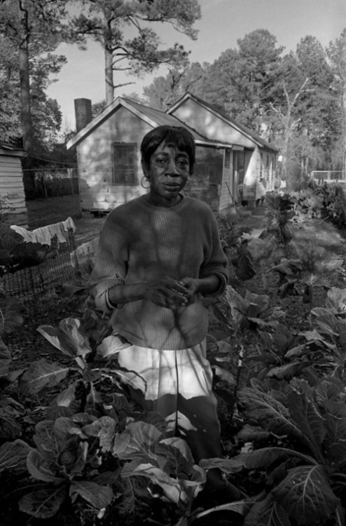 biodiverseed: lostinurbanism: Rob Amberg, Mrs. Douglas and Her Collards, South Carolina This could e