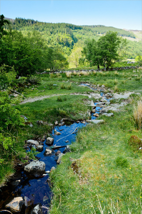 lovewales:Stream near Llyn Crafnant  |  by Etrusia UK