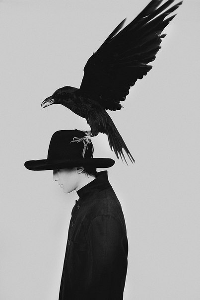 by Ester Idelson