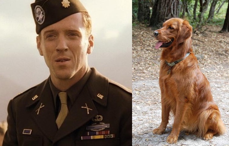 neverbelikeyoume:  Easy Company as dogs, because they are all a bunch of puppies
