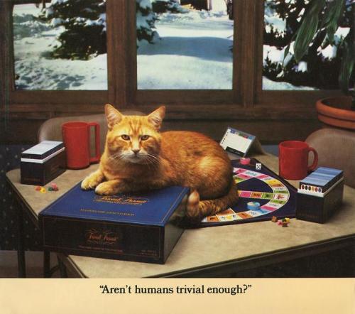 c86:Morris: A Cat For Our Times, 1986 I would buy this book if the captions were removed. An art gal
