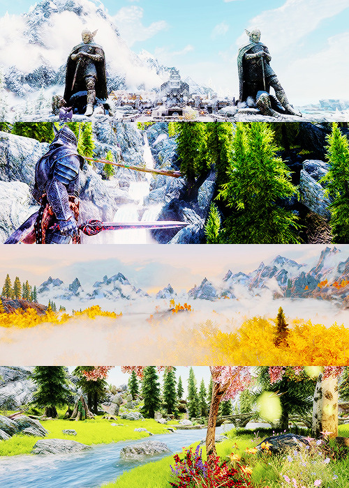 bethesdas:  Skyrim was a vast region set in the northern part of Tamriel. It is