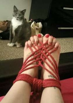 deliciouslyseverefun:  Just bored last night fiddling around with my rope practicing knots and tying up my toesies…. my cat likes to watch