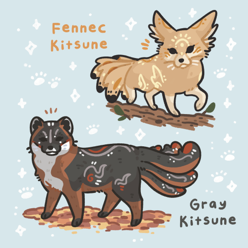 Different Types Of Kitsunes 🦊🐾✨