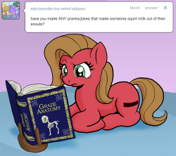 Askpun:  Not Everypony Is As Malleable As Pinkie Pie. Can You Recognize That Pony